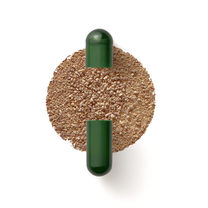 Seed Labs Daily Synbiotic